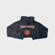 Load image into Gallery viewer, Varsity Hoodie
